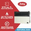 Ashley Hearth Products 17,000 BTU Direct Vent Natural Gas Wall Heater DVAG17N